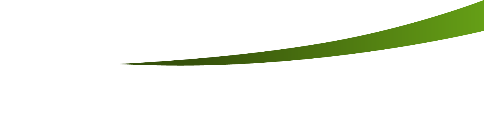 Línea verde curva que separa el slider del contenido